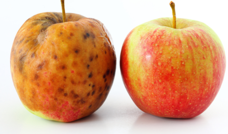 Fresh vs wrinkled apple comparison